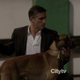 Illustration for article titled Seriously people you need to be watching emPerson of Interest/em right now